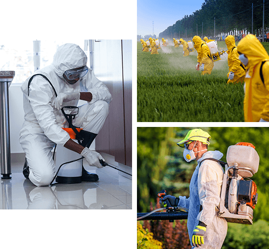 Pest Control Service in Kerala