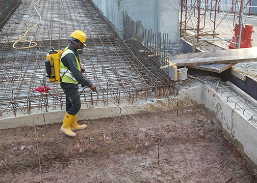 Anti Termite Treatment in Kerala