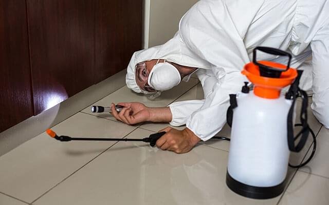 Pest Control Service in Kerala