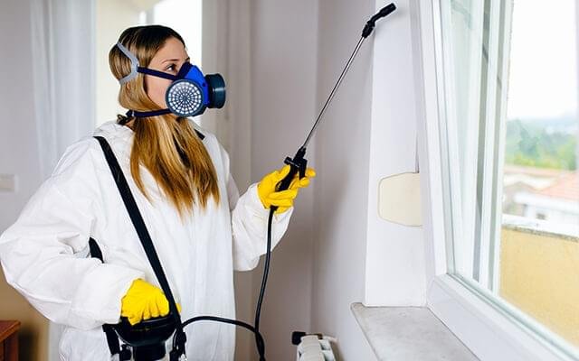 Pest Control Service in Kerala