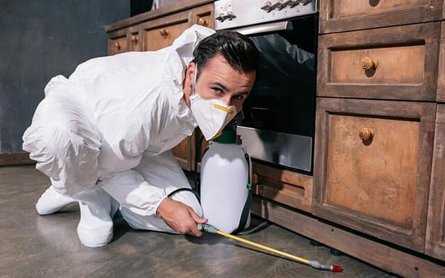 Pest Control Service in Kerala